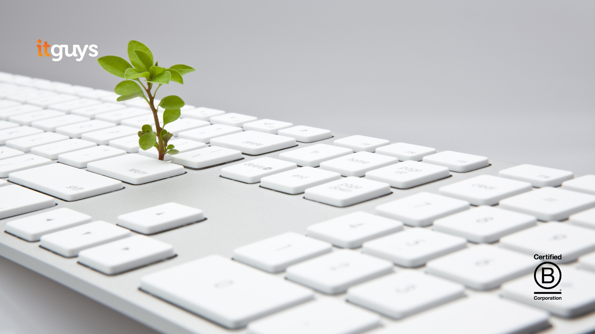 Sustainability Audit | Managed IT Services from ITGUYS | London-Based IT Company | BCorp