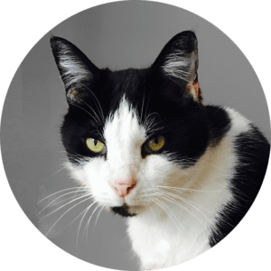 Marvin - The Boss at ITGUYS. Provider of Managed IT Services in London